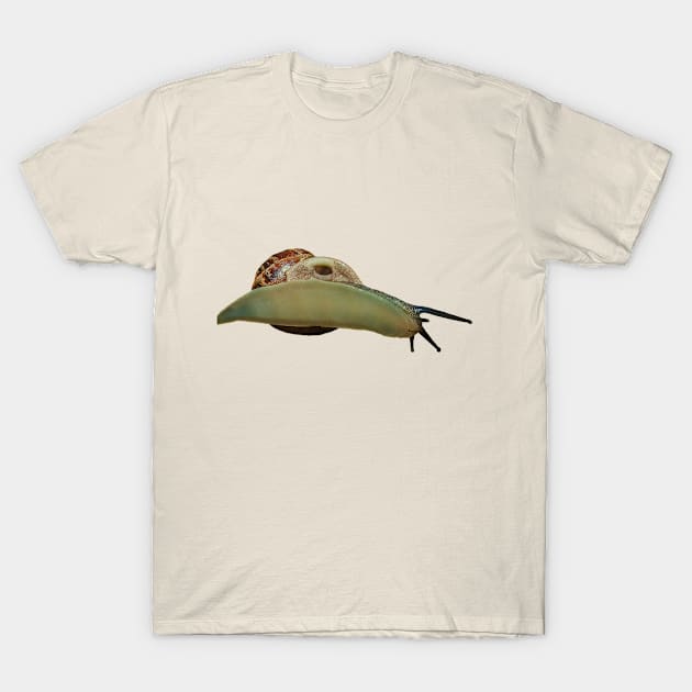 Snail T-Shirt by dalyndigaital2@gmail.com